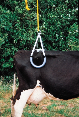 cowlift-in-use.jpg