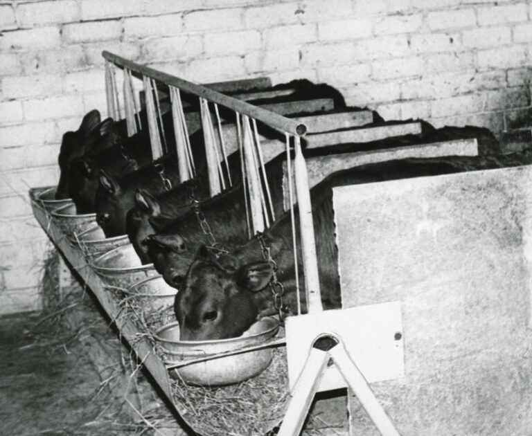 image001 5