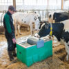 products 2430 michigan eleveur holsteins 1659938842 334 2