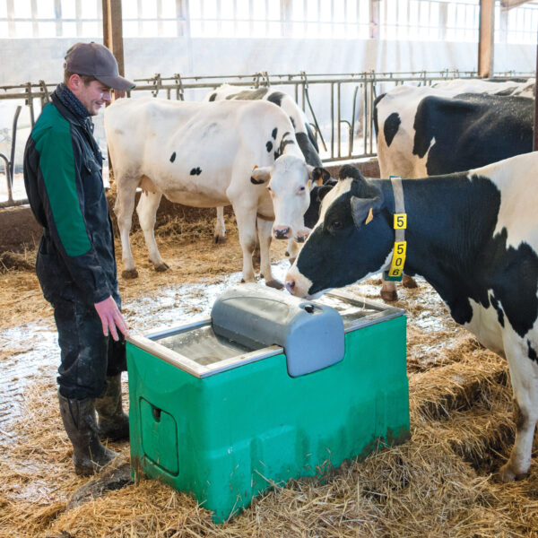 products 2430 michigan eleveur holsteins 1659938842 334 2
