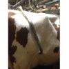 products IMG 1251 1 1642162002 143 2