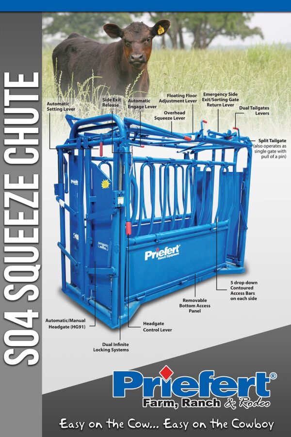 products Poster ANGUS S04 2X3 1 1578949863 263 2