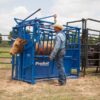 products S0191 SqueezeChute Horned 08 1578950641 603 2