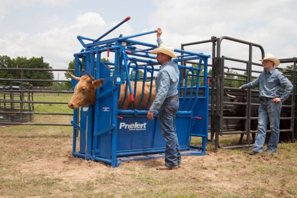 products S0191 SqueezeChute Horned 08 1578950641 603 2