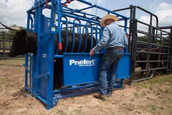 products S0191 SqueezeChute Horned 17 1578950622 192 2