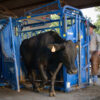 products Squeeze Chute S04 08 Side Exit 1578949898 875 2