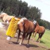products Totem ja heppa 1623844283 136 2