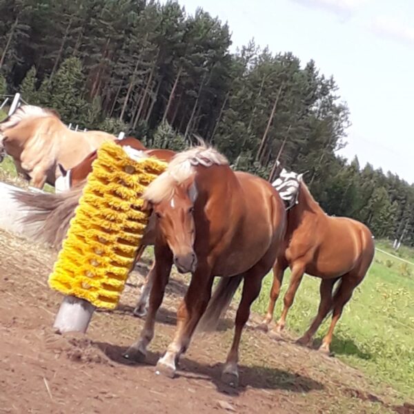 products Totem ja heppa 1623844283 136 2