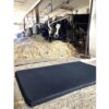 products hig 137308701 main7 1637838099 318 2