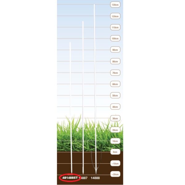 products klaask 1654079578 746 2