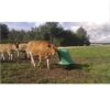 products microfeeder 60 1670509075 586 1 1670845301 576 2 scaled