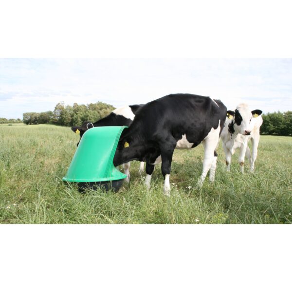 products microfeeder 61 1670509075 84 1 1670845297 941 2 scaled