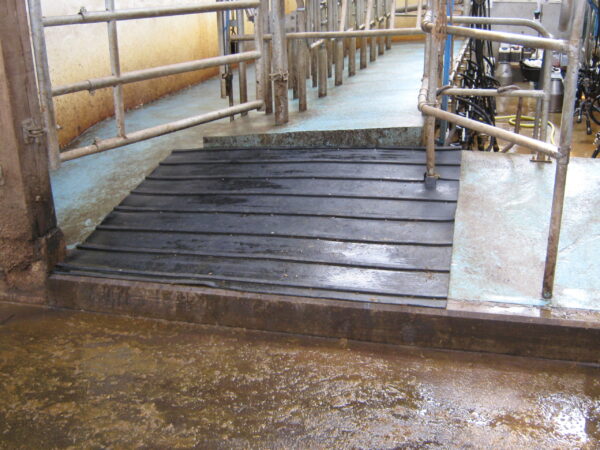products p randamatt RAMP 4 1591603866 379 2 scaled
