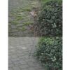 products vorher nachher WKB600 1629707697 990 2 scaled